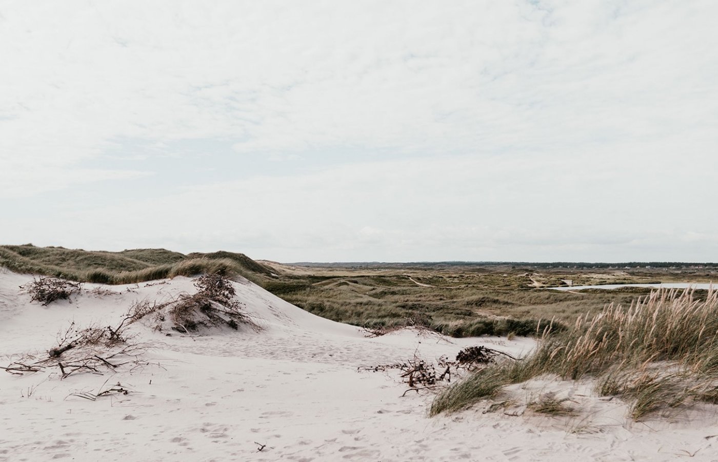 Scan beach