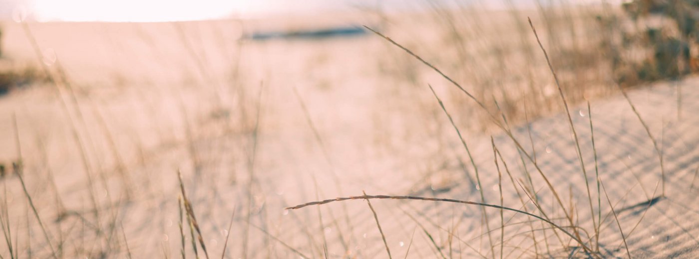 Close-up of sandy beach with straw and sea in the background